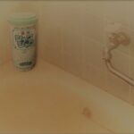 時は昭和、家庭のお風呂のお伴だった♬シャワシャワ♬